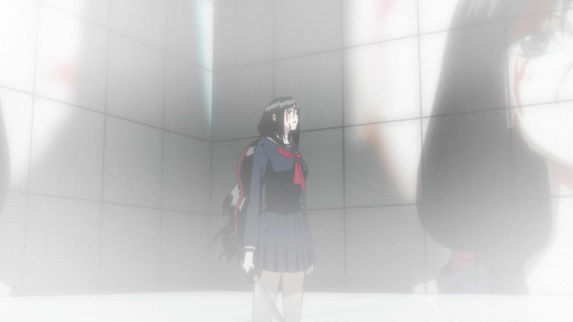 Dbd_RawsBlood_C剧场版The_Last_Dark1080PBdripHevc_10BitFlac_mp4_Comp (13).mp4